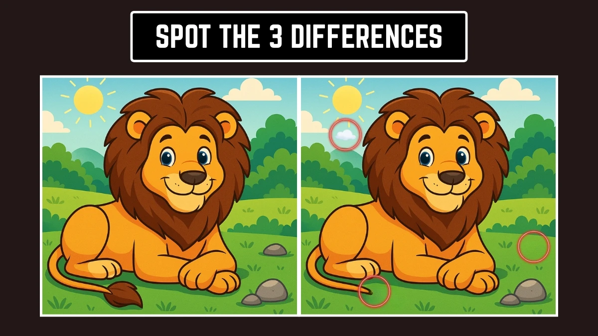 Optical Illusion: Can You Spot the 3 Differences in 8 Seconds? Optical Illusion: Can You Spot the 3 Differences in 8 Seconds?