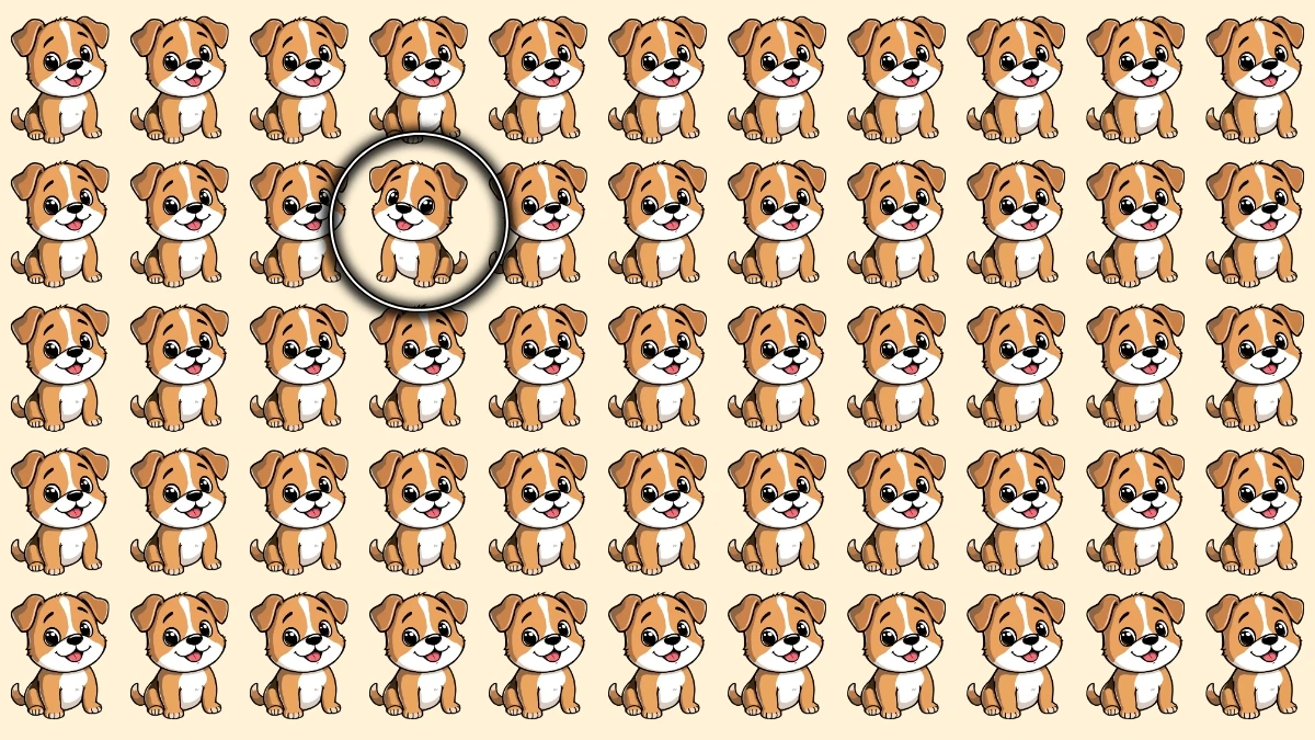 Optical Illusion: Challenge Your Eyes to Find the Odd Dog in 5 Seconds?
