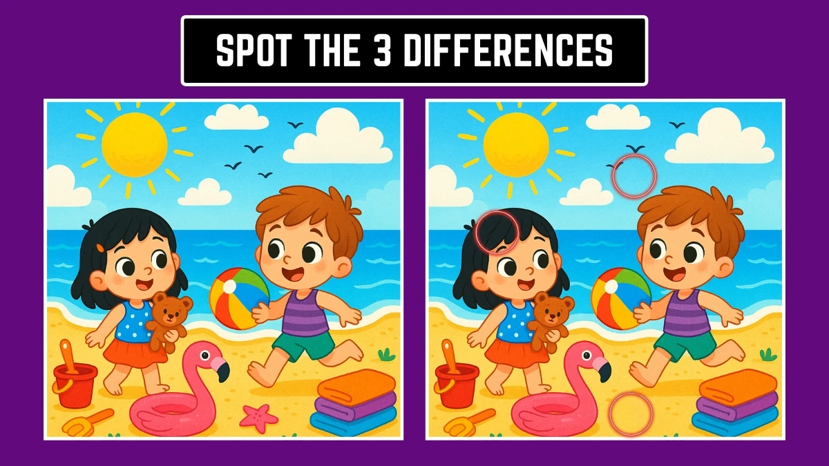 Optical Illusion: Challenge Yourself to Find the 3 Differences in 8 Seconds Optical Illusion: Challenge Yourself to Find the 3 Differences in 8 Seconds