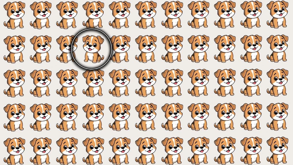 Optical Illusion: Challenge Yourself to Spot the Different Dog in 5 Seconds Optical Illusion: Challenge Yourself to Spot the Different Dog in 5 Seconds