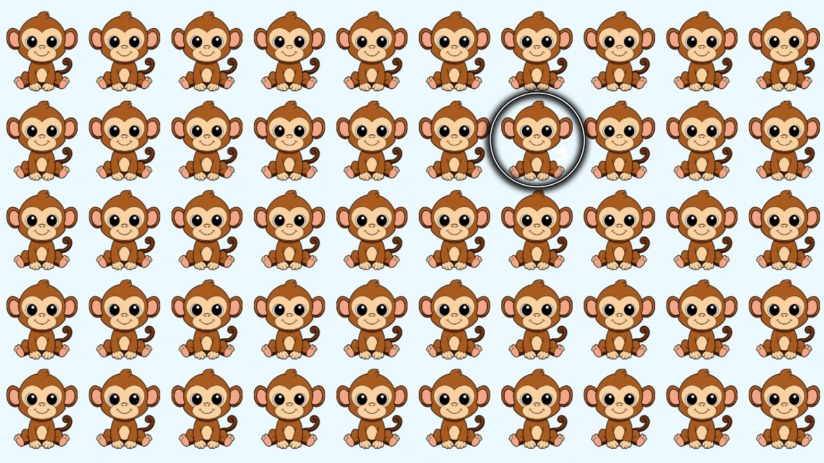 Optical Illusion: Only the Sharpest Eyes Can Discover the Odd Monkey Fast!