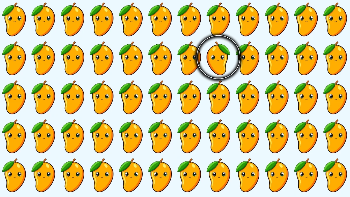 Optical Illusion: Only the Sharpest Eyes Can Spot the Odd Mango in 5 Seconds Optical Illusion: Only the Sharpest Eyes Can Spot the Odd Mango in 5 Seconds