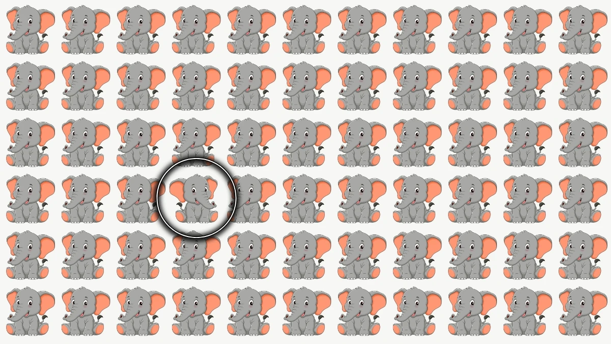 Optical Illusion: Spot the Odd Elephant in 6 Seconds