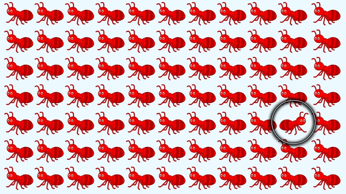 Optical Illusion: Test Your Eyes - Find the Odd One in 5 Seconds Optical Illusion: Test Your Eyes - Find the Odd One in 5 Seconds