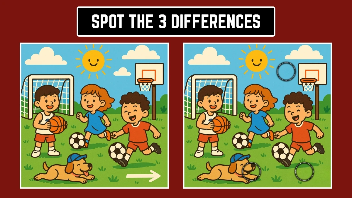 Optical Illusion: Test Your Eyes with These 3 Hidden Differences!