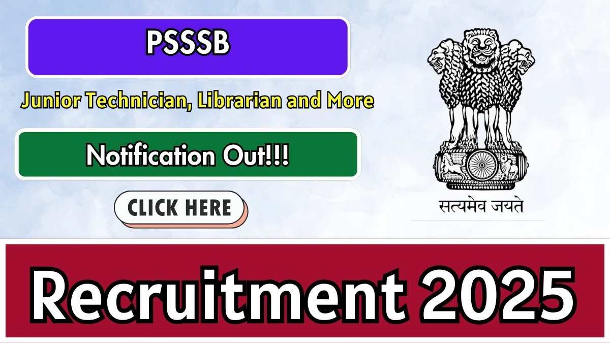 Sarkari Naukri image