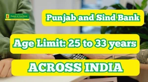Punjab and Sind Bank MSME Relationship Managers Recruitment 2025 Out, Apply Onli...