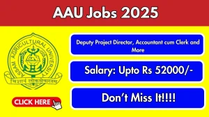 AAU Deputy Project Director, Accountant cum Clerk and More Recruitment 2025 Out ...