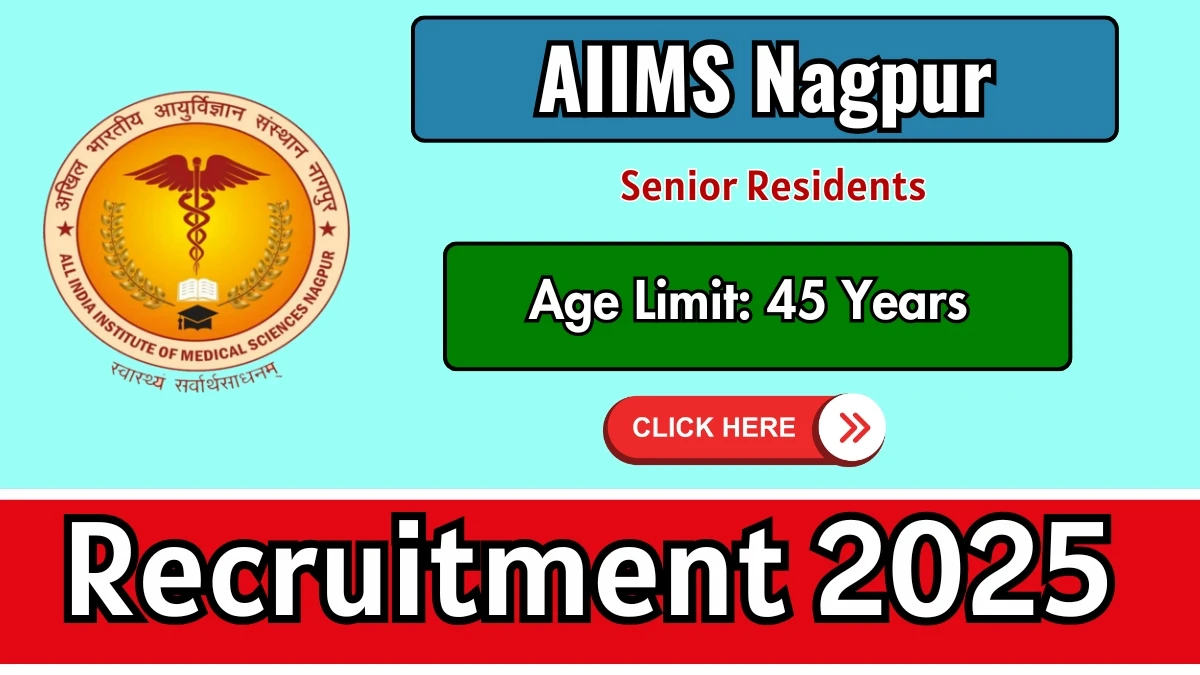 Sarkari Naukri image