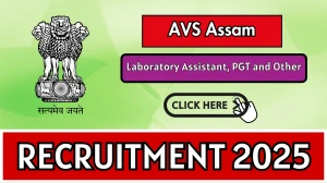 AVS Assam Laboratory Assistant, PGT and Other Recruitment 2025 Out Apply Online ...