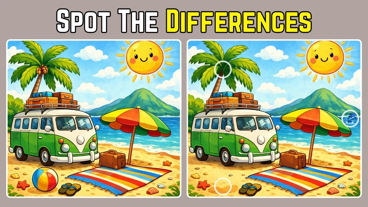 Brain Teaser: Can You Find All 3 Differences in Just 6 Seconds?