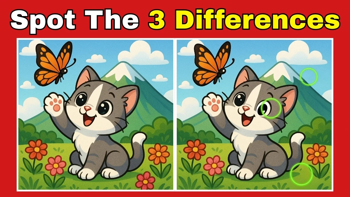 Brain Teaser: Can You Find All 3 Differences in Just 7 Seconds?