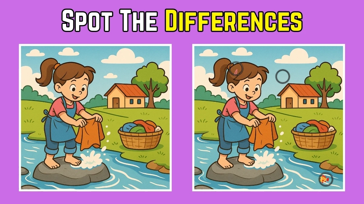 Brain Teaser: Can You Find All 3 Differences in Just 7 Seconds?