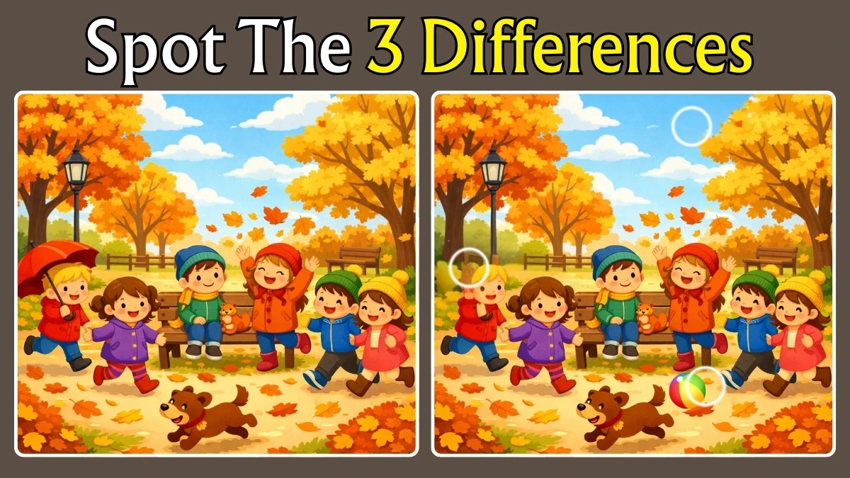 Brain Teaser: Can You Find All 3 Differences in Just 8 Seconds?