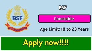 BSF Constable Recruitment 2025 Notification Out - Apply Online 549 Posts