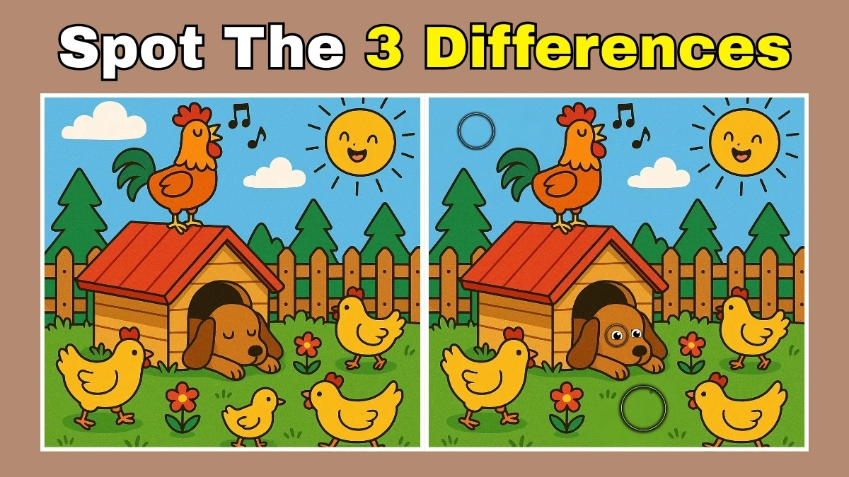 Brain Teaser: How Quickly Can You Spot the 3 Differences in 7 Seconds? Brain Teaser: How Quickly Can You Spot the 3 Differences in 7 Seconds?