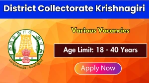 District Collectorate Krishnagiri Recruitment 2025: Apply Offline for 146 Cookin...