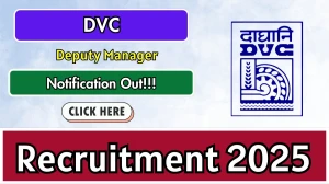 DVC Deputy Manager Recruitment 2025 Out - Apply Online 09 Posts