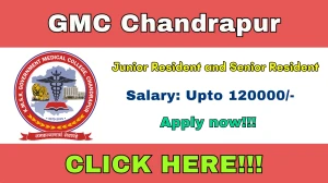 GMC Chandrapur Junior Resident and Senior Resident Recruitment 2025 Out - Apply ...