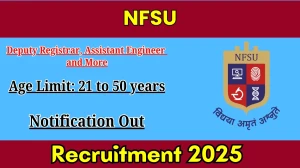 NFSU Deputy Registrar, Assistant Engineer and More Recruitment 2025 Out - Apply Online 31 Posts