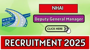 NHAI Deputy General Manager Recruitment 2025 Out - Apply Online 30 Posts