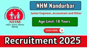 NHM Nandurbar Recruitment 2025 Notification PDF Out - Apply Offline 98 Junior En...