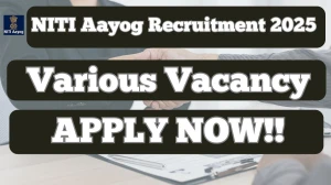 NITI Aayog Protocol Officer Recruitment 2025 Notification PDF Out - Apply Offlin...