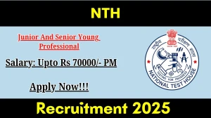 NTH Junior And Senior Young Professional Recruitment 2026 Out - Apply Offline 25...