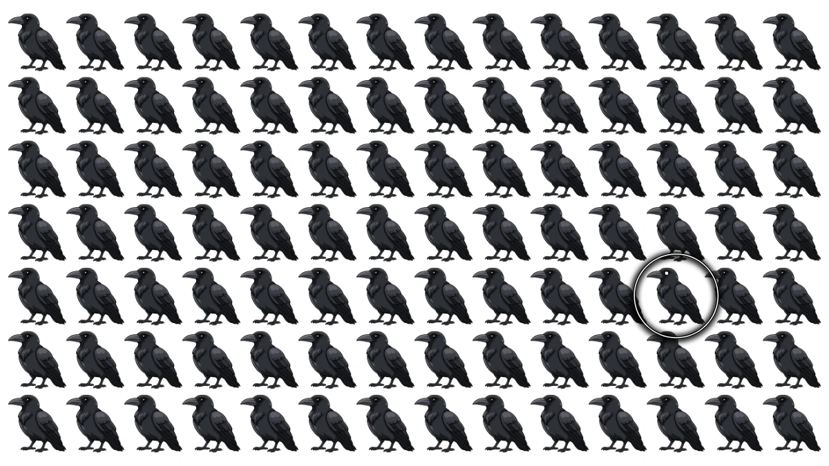 Optical Illusion: Challenge Yourself to Spot the Different Crow in 5 Seconds