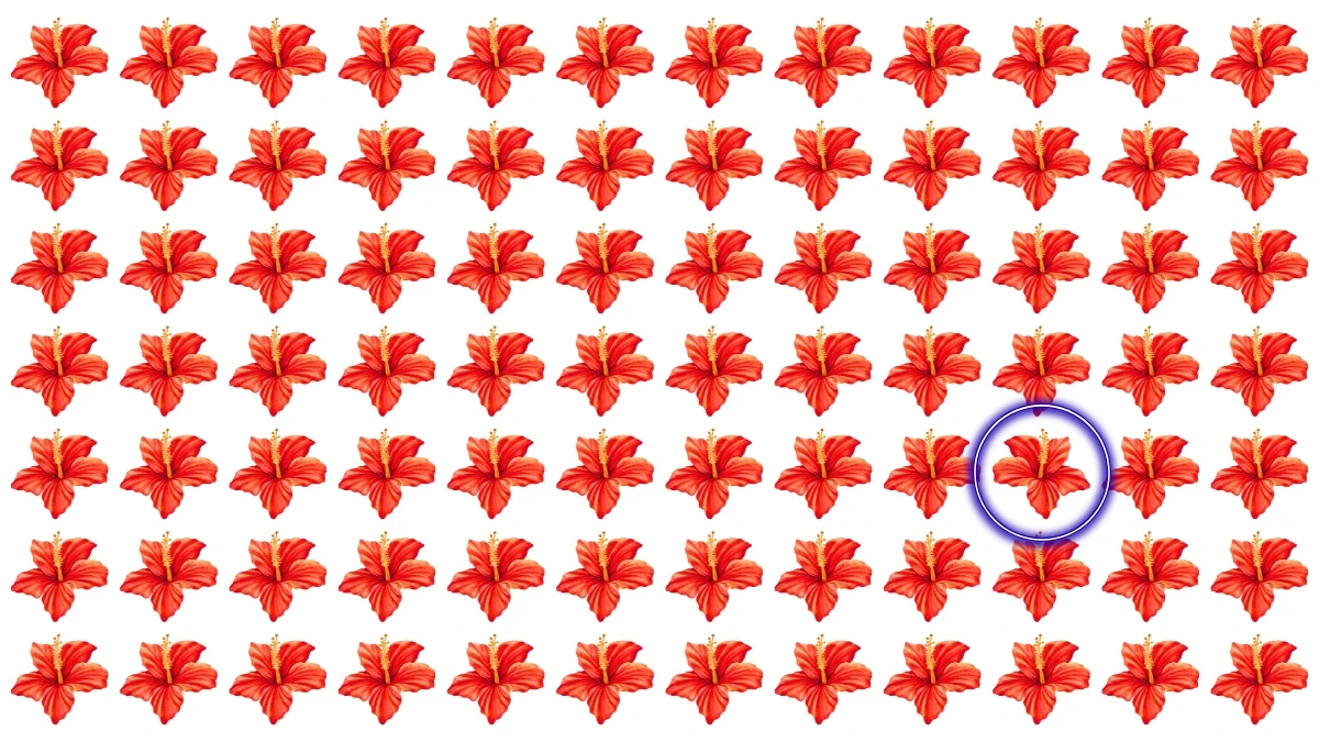 Optical Illusion: Challenge Yourself to Spot the Different Flower in 5 Seconds Optical Illusion: Challenge Yourself to Spot the Different Flower in 5 Seconds