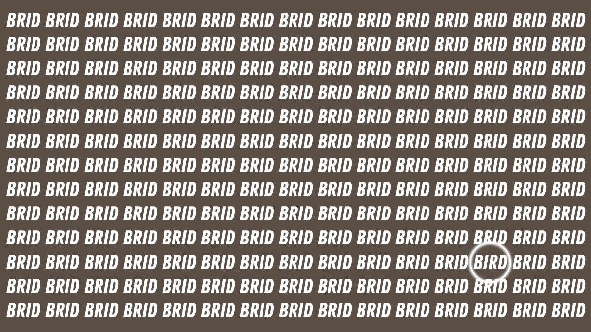Optical Illusion: Only Sharp Eyes Can See the Hidden Word BIRD in 6 Seconds Optical Illusion: Only Sharp Eyes Can See the Hidden Word BIRD in 6 Seconds