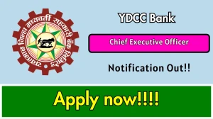 YDCC Bank Chief Executive Officer Recruitment 2026 Out - Apply Offline