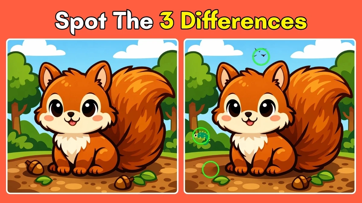 Brain Teaser: Can You Find All 3 Differences in Just 8 Seconds?
