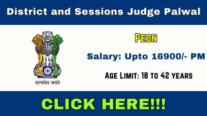 District and Sessions Judge Palwal Peon Recruitment 2026 Out - Apply Offline 10 ...