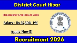 District Court Hisar Stenographer Grade III and Clerk Recruitment 2026 Out - Apply Offline 52 Posts