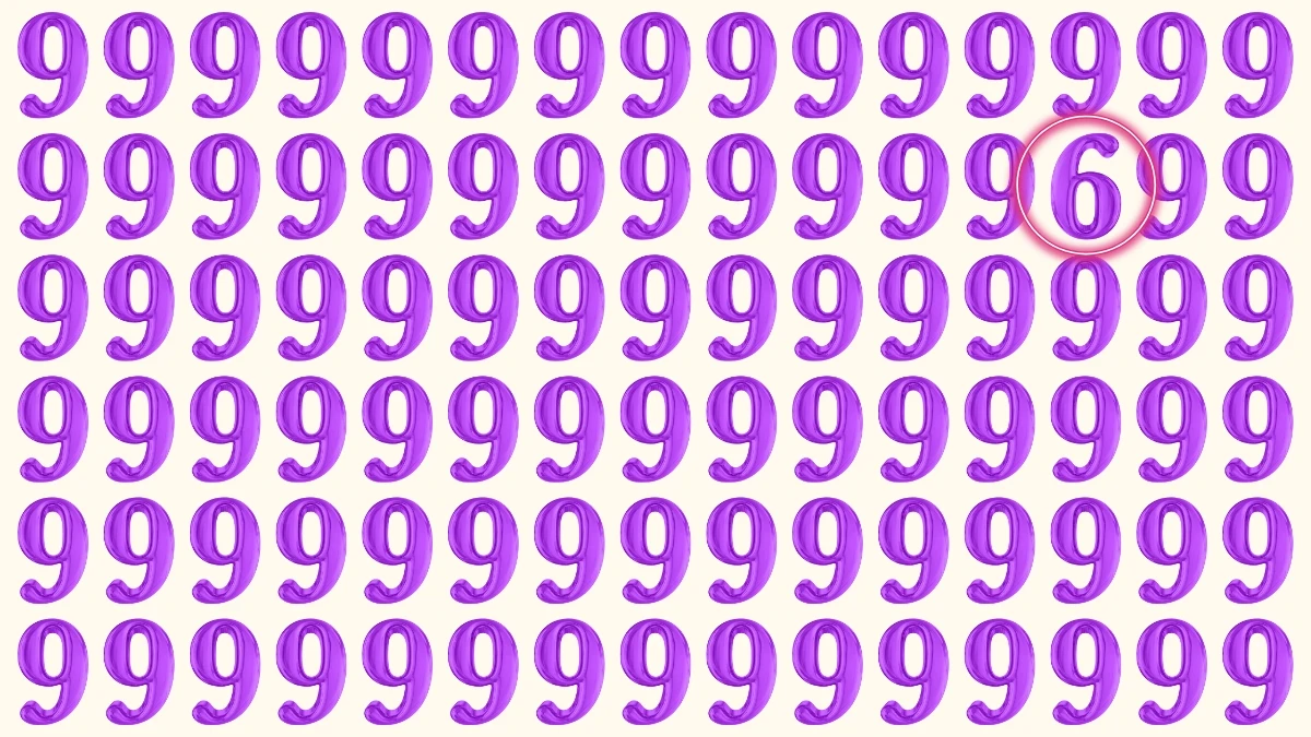 Optical Illusion: Can You Spot the Hidden Number 6 in 5 Seconds?