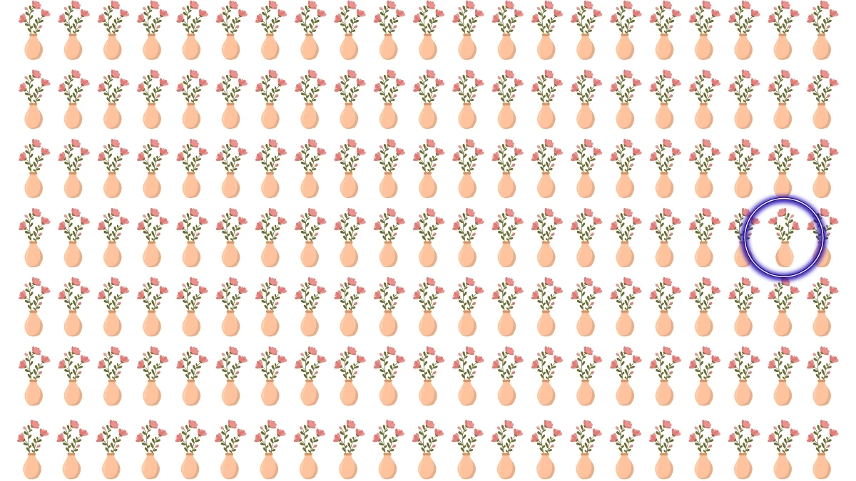 Optical Illusion: Challenge Yourself to Spot the Different Flower Vase in 8 Seconds