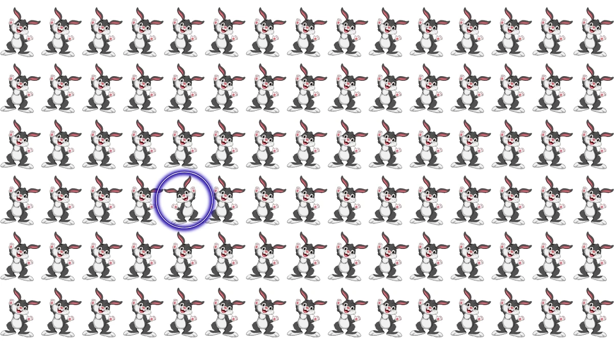 Optical Illusion: Challenge Yourself to Spot the Different Rabbit in 8 Seconds Optical Illusion: Challenge Yourself to Spot the Different Rabbit in 8 Seconds