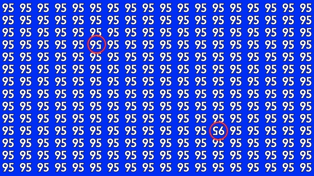 Optical Illusion: Within 6 Seconds Spot The Inverted 56 and 95 among 95s