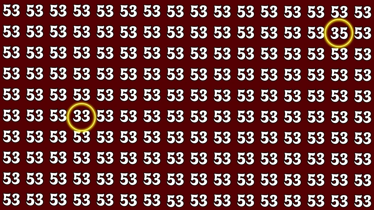 Optical Illusion: Within 6 Seconds Spot The Number 33 and 35 among 53s