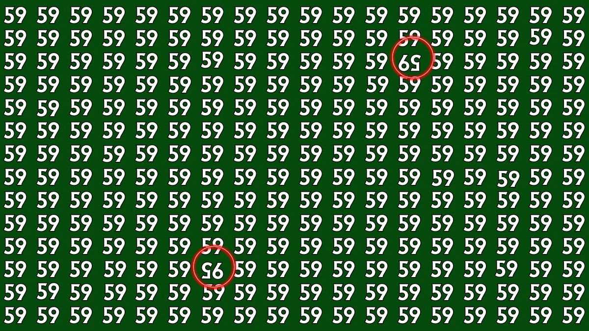Optical Illusion: Within 7 Seconds Spot The Inverted 59 and 95 among 59s