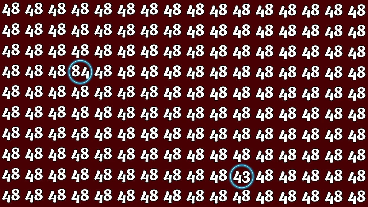 Optical Illusion: Within 7 Seconds Spot The Number 84 and 43 among 48